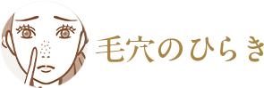 毛穴の開き