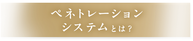 ペネトレーションシステムとは？